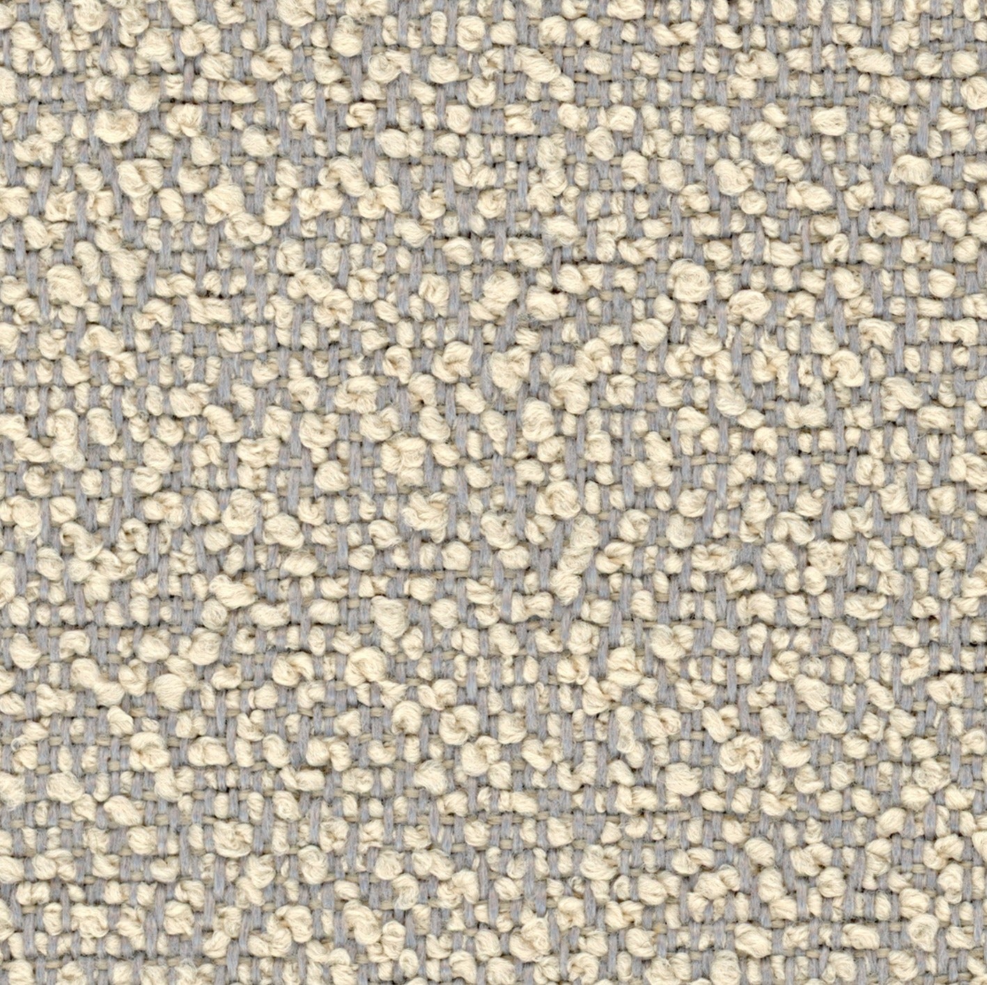Fiocco 9831