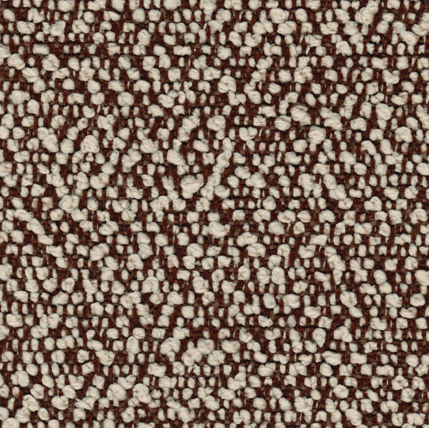Fiocco 9221