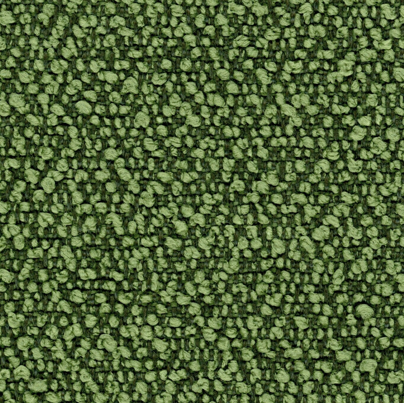 Fiocco 9717